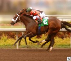 Horse Racing - Gambling in America